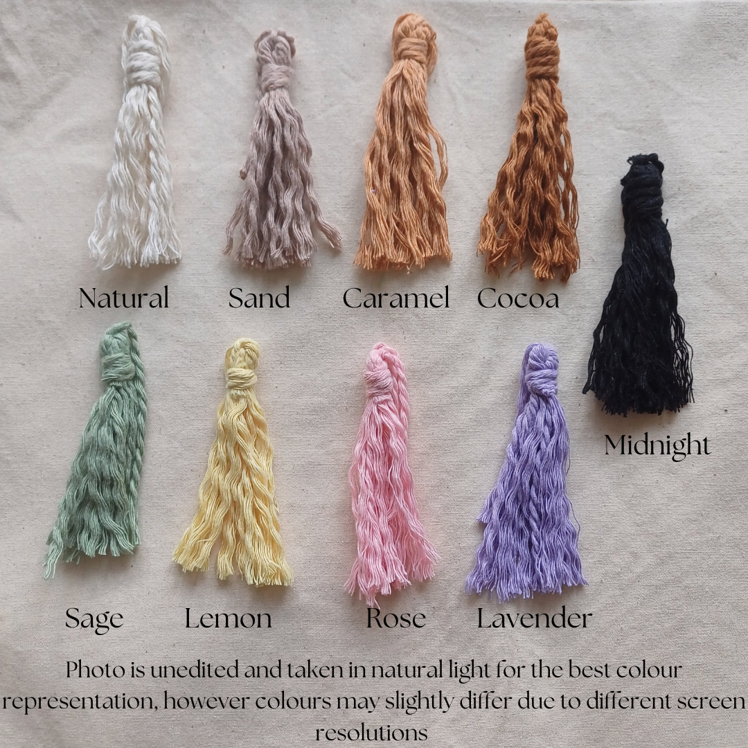 Disco Macrame Plant Hanger