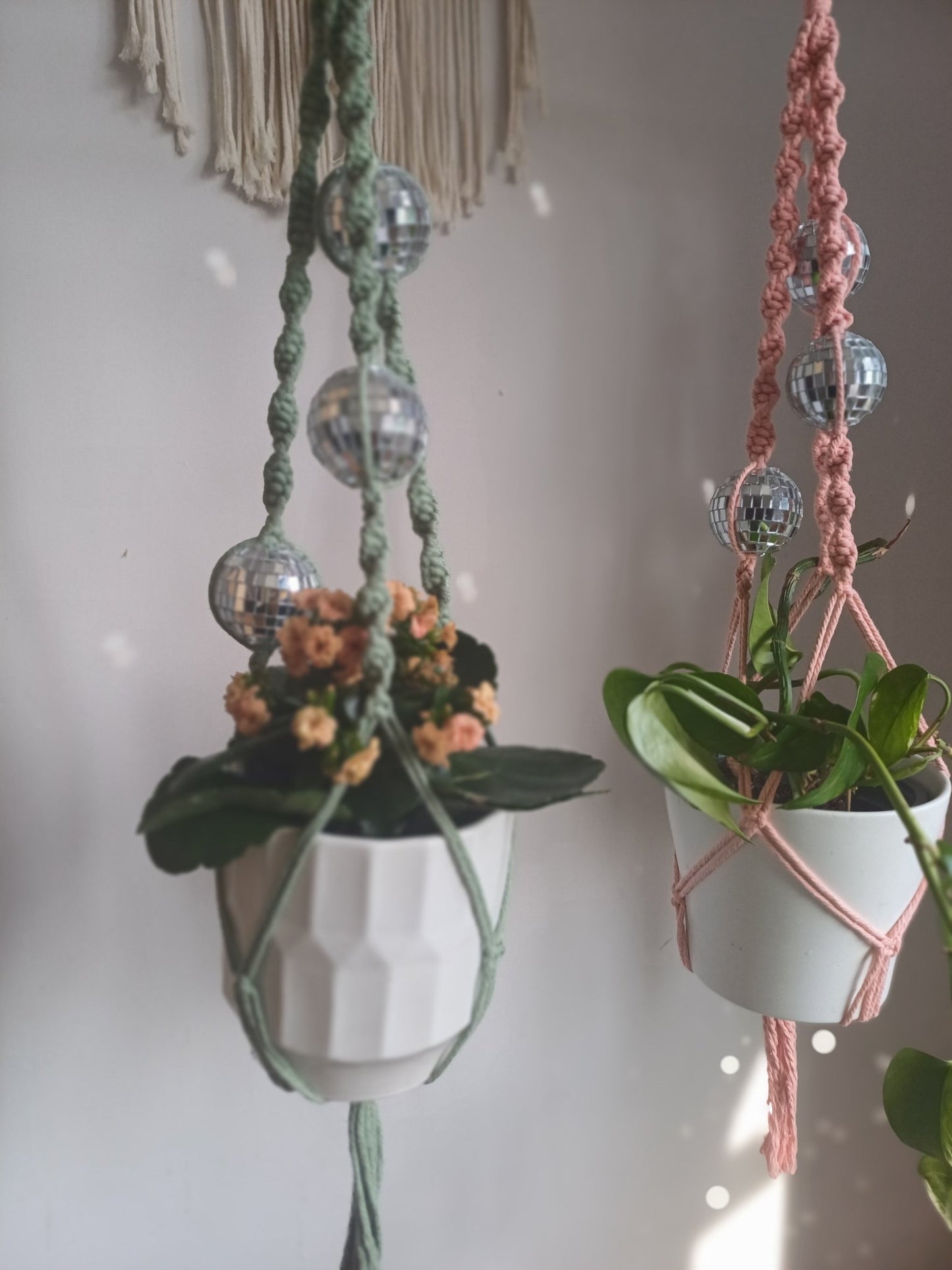 Disco Macrame Plant Hanger - Canary Macrame